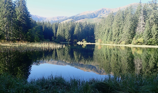 Vrbické pleso