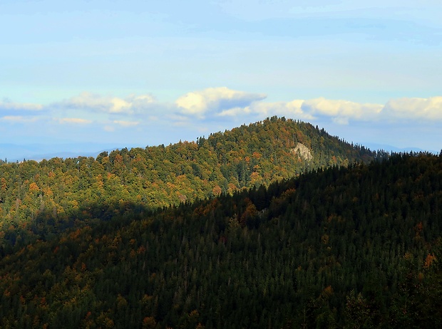 prales Skalnatá 1125m