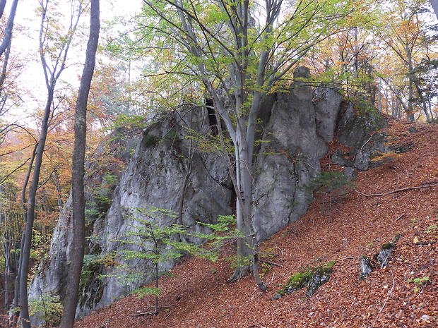 Slnečné skaly