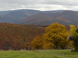  Kolba, Mukyňová, Kupcová poľana