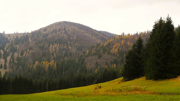 Novembrové Kopanecké lúky