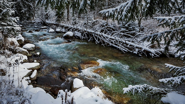 Belá, Podbanské