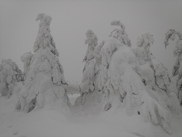 vrch Minčol 1364 m.n.m. - ľadové kráľovstvo...