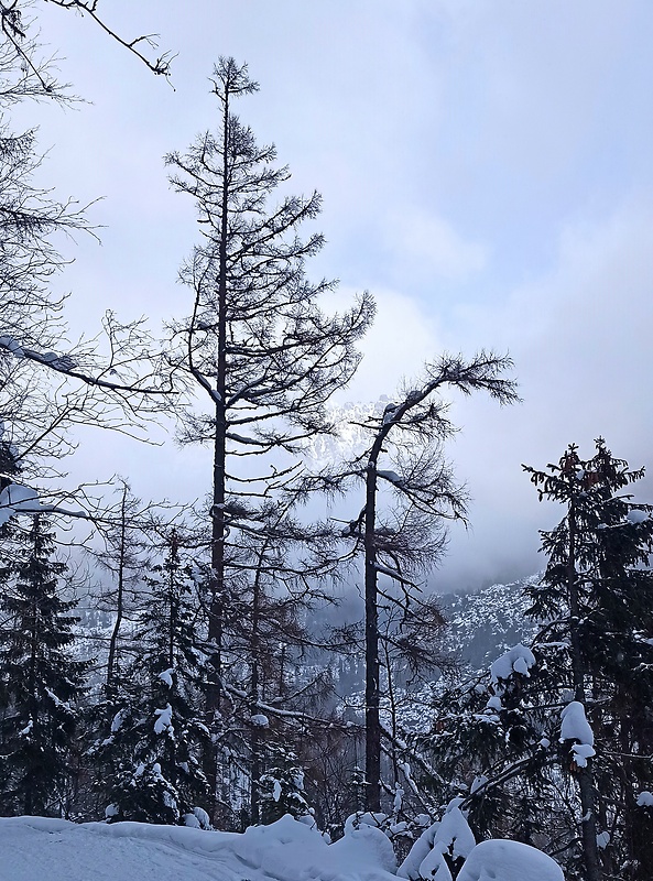 Vysoké Tatry