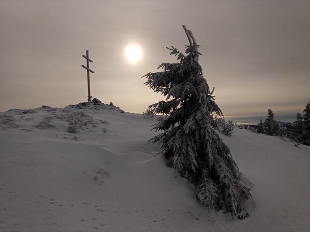 vrch Minčol 1364 m.n.m.