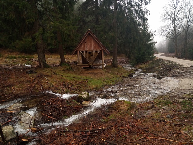 Turská dolina - spoj troch dolín 700 m.n.m.