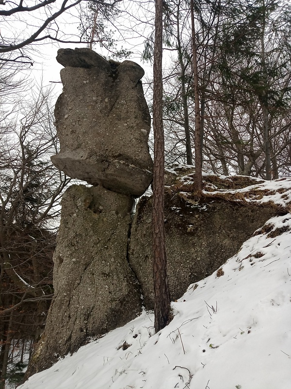 vrch Patúchy 710 m.n.m. Babkovský budzogáň