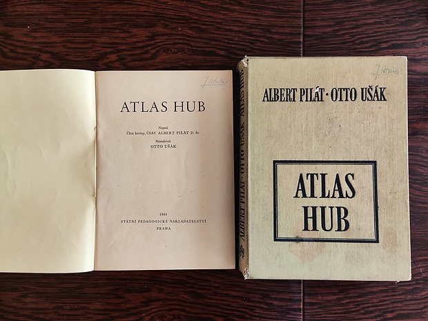 Atlas hub