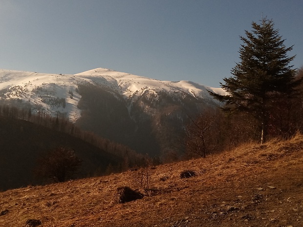 Veľký Fatranský Kriváň 1709 m.n.m. z Grúňa ...