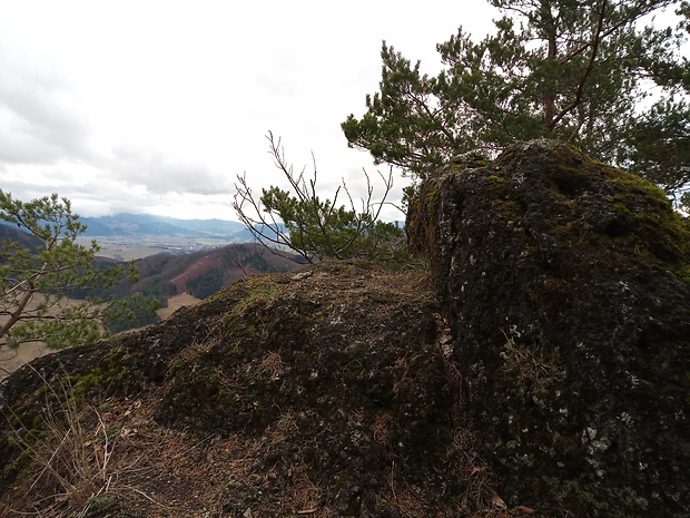 Babkov - vrch Strážna 686 m.n.m. a vartovňa