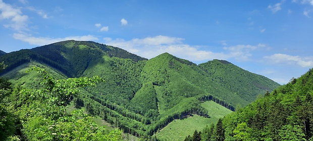 Baraniarky,Žitné,Kraviarske