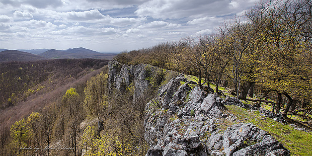 Čierna skala