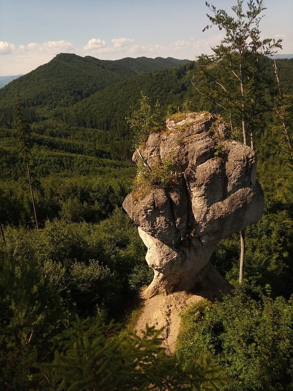 Zbýňovský budzogáň z bočného brala od hrebeňa vrchu Žibrid a vrch Kečka 823 m.n.m.