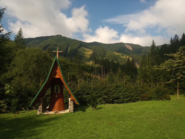 vrch Jablonská 1117 m.n.m. z Porubskéj doliny