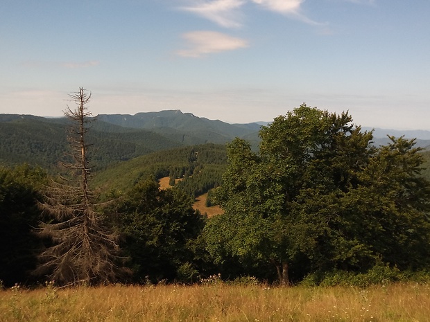 ráno Kľak 1352 m.n.m.z vrchu Hnilická Kýčera 1218 m.n.m.