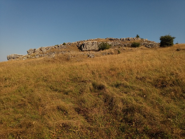 vrch Skalky 1192 m.n.m. nad Rajecko Lesnianskou dolinou