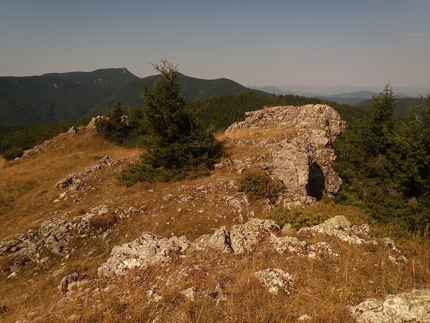 vrch Kľak 1352 m.n.m. z vrchu Skalky 1192 m.n.m.