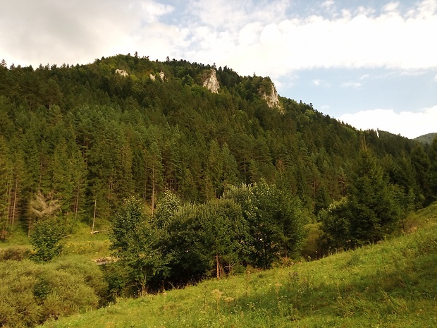 vrch Sokol 929 m.n.m. z Ďurčanskej doliny - Lúčanská Malá Fatra