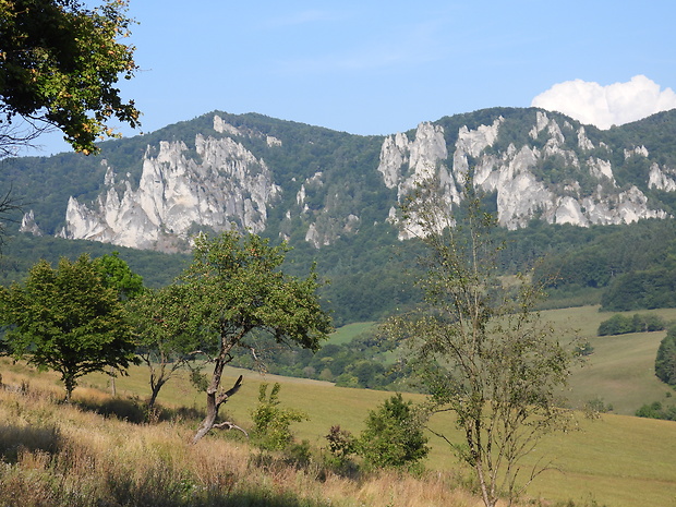 Súľovske skaly