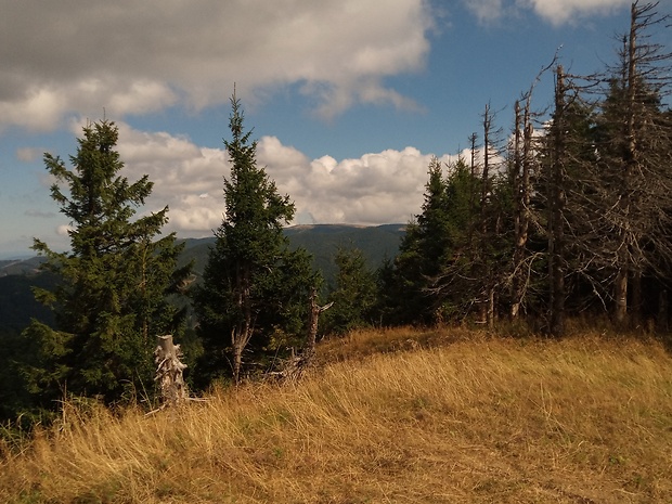 vrch Veľká Lúka 1476 m.n.m. z vrchu Hnilická Kýčera 1218 m.n.m.