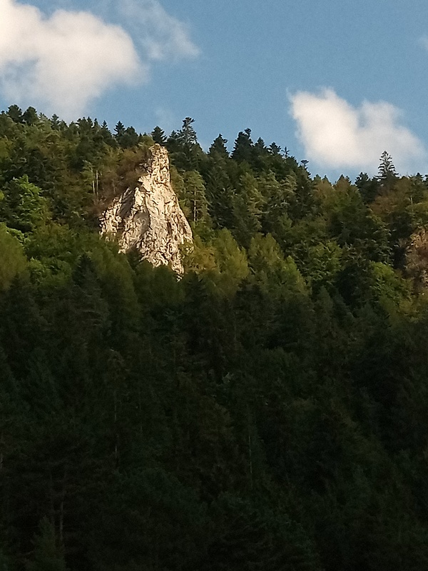 Špicárka pod vrchom Sokol 929 m.n.m.