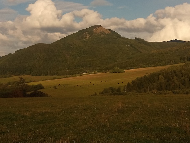 vrch Čipčie 920 m.n.m., pohľad od Medzihorskej doliny