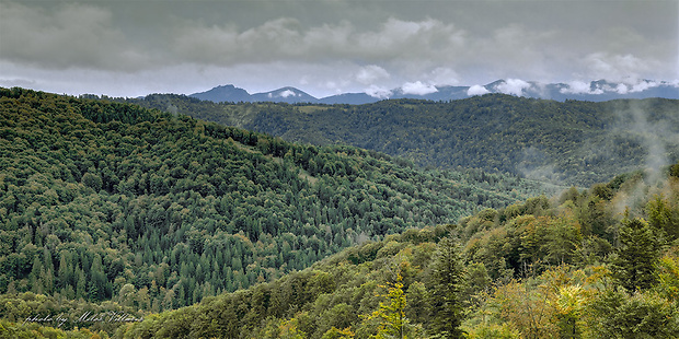 Klubinská dolina