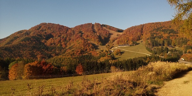 Strážovské vrchy - Homôlka 1073 m.n.m. od Fačkovského sedla