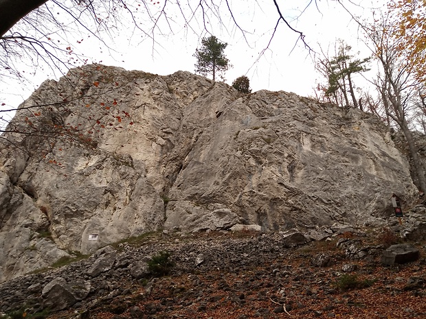 NPR Manínska tiesňava a  skaly pod Malým Manínom 813 m.n.m.