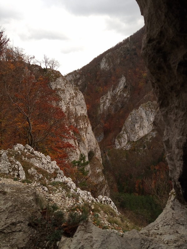 NPR Manínska tiesňava od skál pod Malým Manínom 813 m.n.m. časť Manínska stráž