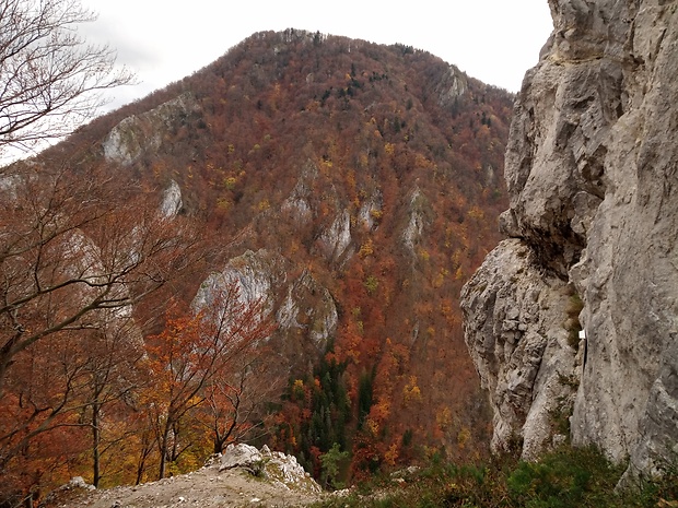 NPR Manínska tiesňava a Veľký Manín 891 m.n.m. od Malého Manína 813 m.n.m. časť Manínska stráž