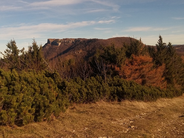 vrch Kľak 1352 m.n.m. z vrchu Reváň 1205 m.n.m.