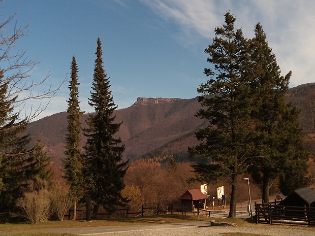 vrch Kľak 1352 m.n m. z Fačkovského sedla 802 m.n.m.