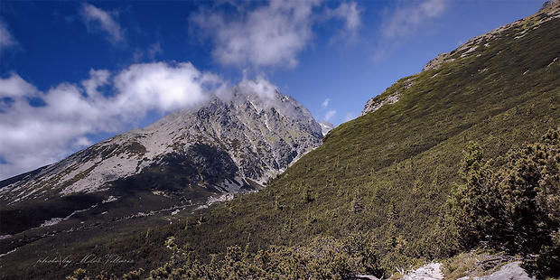 Kvetnicová veža