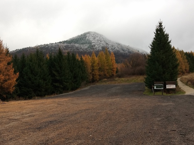 vrch Reváň 1205 m.n.m. z Fačkovského sedla 802 m.n.m.