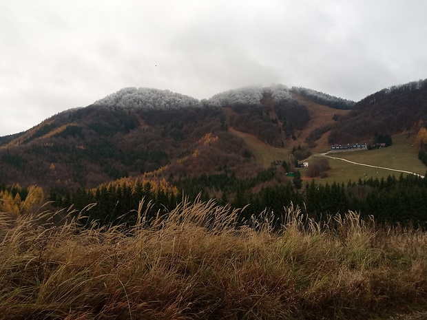 Strážovské vrchy - Homôlka 1073 m.n.m. od Fačkovského sedla