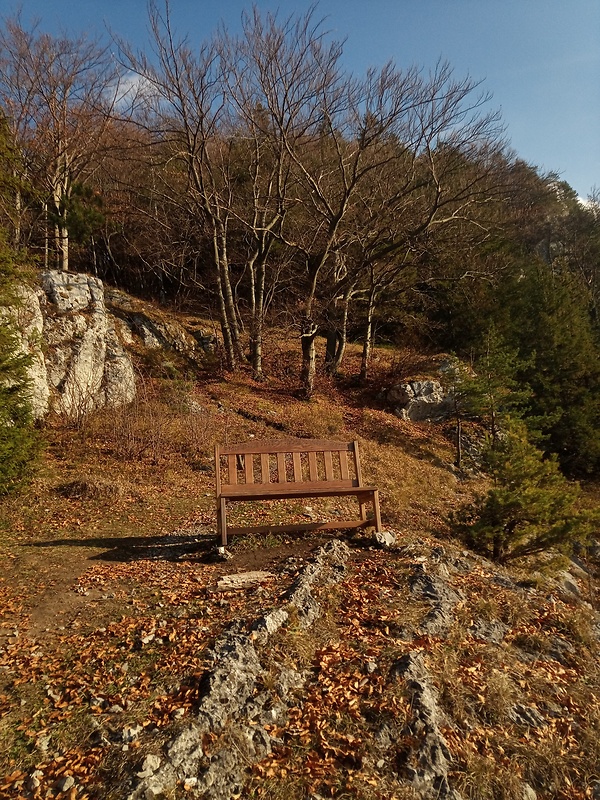 lavička hore pod Hoblíkom 935 m.n.m.