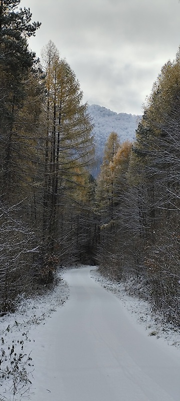 Sninský kameň