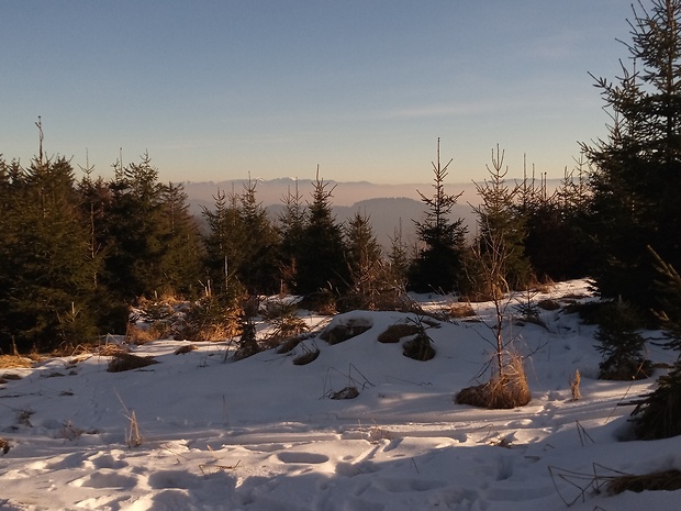 Kriváňska  Malá Fatra z Javorníkov od vrchu Čerenka 948 m.n.m.