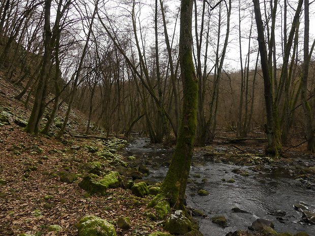 V Horšianskej doline