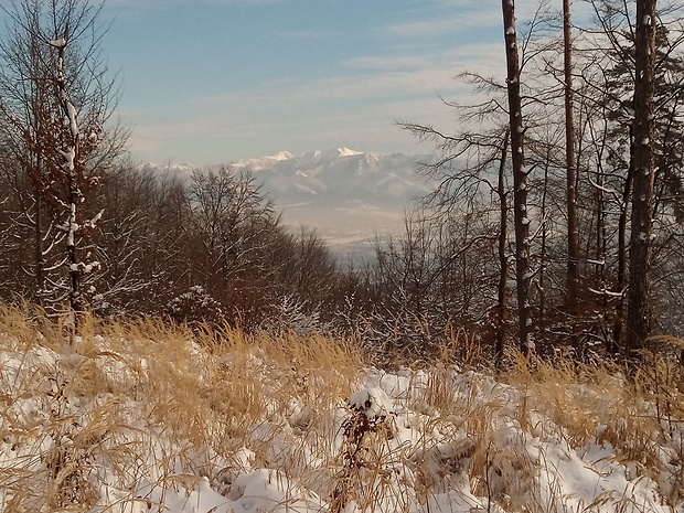 NP Kriváňska Malá Fatra z vrchu Malé Hradisko  638 m.n.m.