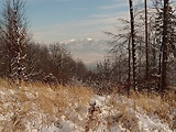  NP Kriváňska Malá Fatra z vrchu Malé Hradisko  638 m.n.m.