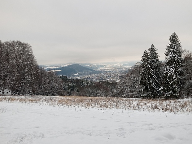 pohľad na vrch Dubeň 613 m.n.m. a mesto Žilina, z lúky pod Veľkým Hradiskom 637 m.n.m.