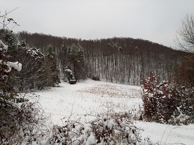 Veľké Hradisko 637 m.n.m. nad Žilinou