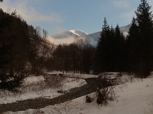 vrch Stoh 1607 m.n.m. z Vrátnej doliny - časť Tiesňavy