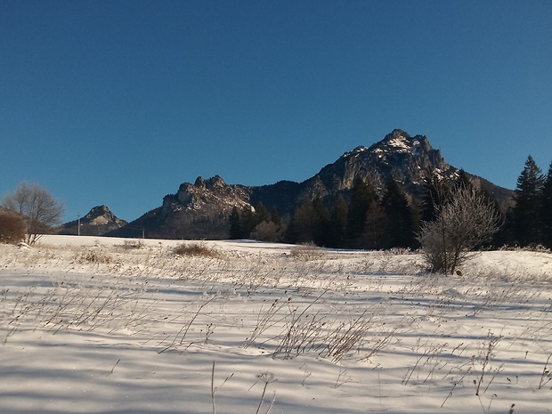 vrch Malý Rozsutec 1344 m.n.m., Poludňové skaly a Veľký Rozsutec spod vrchu Boboty 1087 m.n.m.