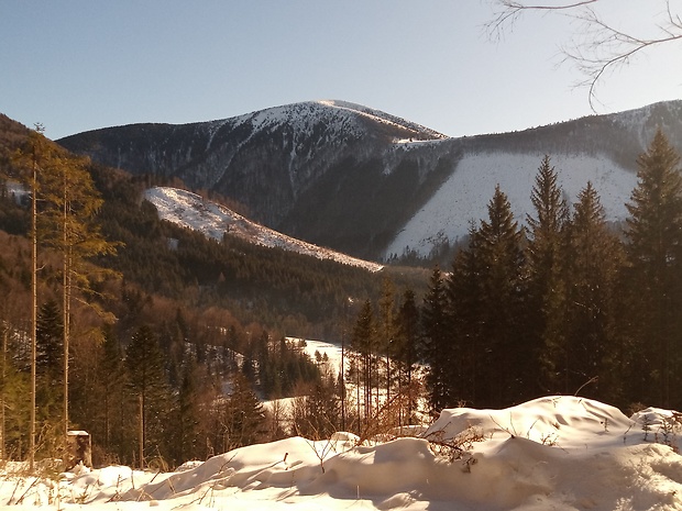 vrch Stoh 1606 m.n.m. spod vrchu Boboty 1087 m.n.m.