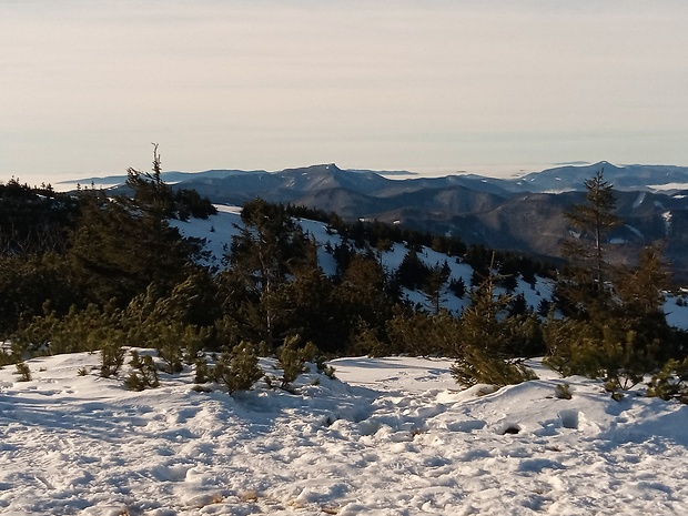 vrch Kľak 1352 m.n.m. z vrchu Veľká Lúka 1476 m.n.m.