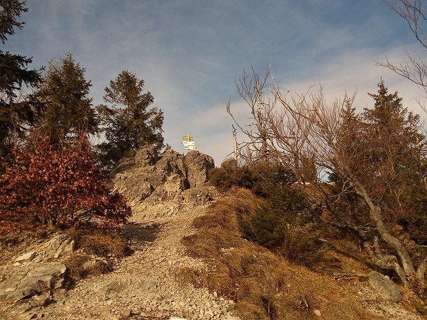 vrch Sokolie 1173 m.n.m.