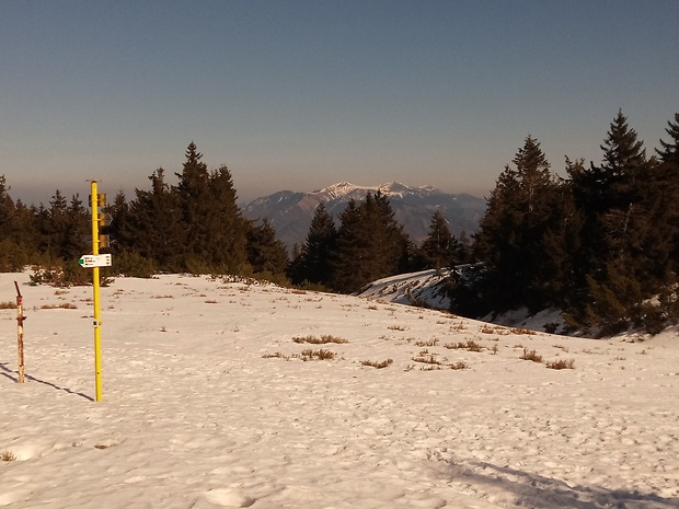 sedlo pod Krížavou 1436 m.n.m. NP Kriváňska Malá Fatra